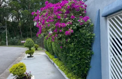 Imagem: Casa Térrea para Venda, Jardim Las Vegas