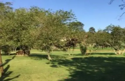 Imagem: Condomínio Fechado para Venda, Balneário Palmira