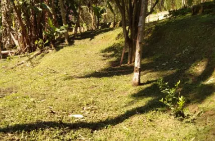 Imagem: Chácara / Sítio para Venda, Vila Ouro Fino