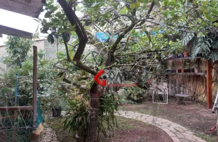 Imagem: Casa Térrea para Venda, Vila Dayse