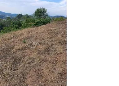 Imagem: Terreno para Venda, Quarta Divisão