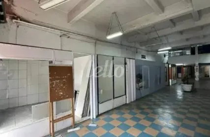 Imagem: Galpão / Salão para Alugar, Oswaldo Cruz