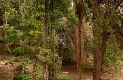 Imagem: Terreno para Venda, Vila Príncipe de Gales