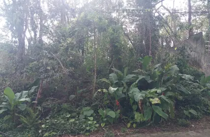 Imagem: Terreno para Venda, Praia da Cocanha
