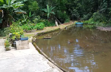 Imagem: Sobrado para Venda, Jardim São Francisco