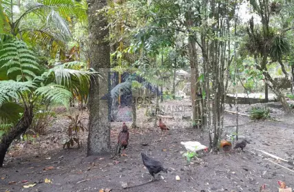 Imagem: Terreno para Venda, Parque Real