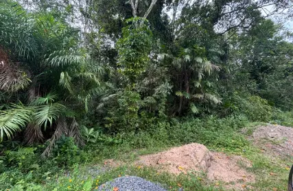 Imagem: Chácara / Sítio para Venda, Jardim Suarão - Interior