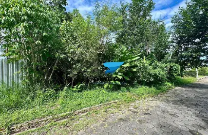 Imagem: Terreno para Venda, Pernambuco