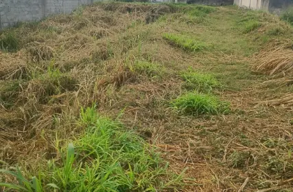Imagem: Terreno para Venda, Guaianases