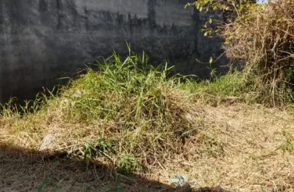 Imagem: Terreno para Alugar, Cangaíba