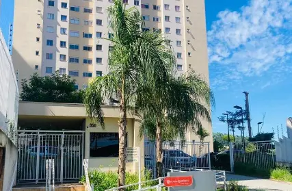 Imagem: Apartamento para Alugar, José Bonifacio