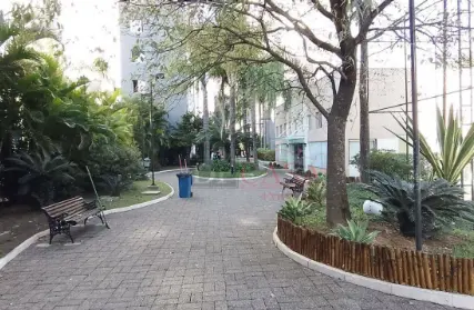 Imagem: Apartamento para Venda, Vila Guilhermina