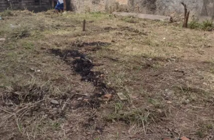 Imagem: Terreno para Venda, Vila Formosa