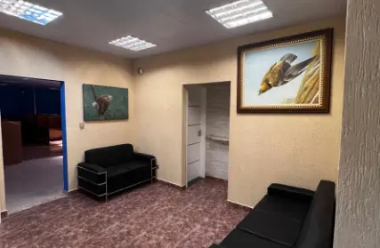 Imagem: Galpão / Salão para Alugar, Vila Graciosa