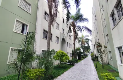 Imagem: Apartamento para Venda, Jardim Casa Pintada
