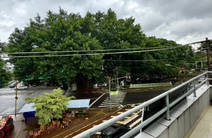 Imagem: Sala Comercial para Alugar, Vila Diva (ZL)