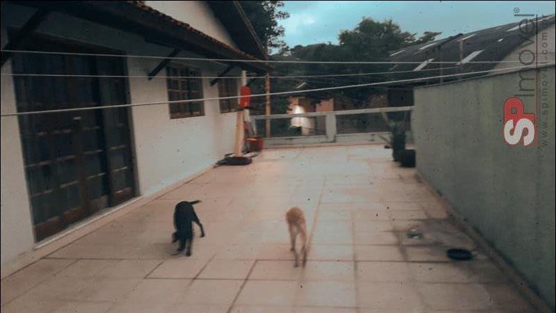 Casa, 4 quartos, 340 m² - Foto 1