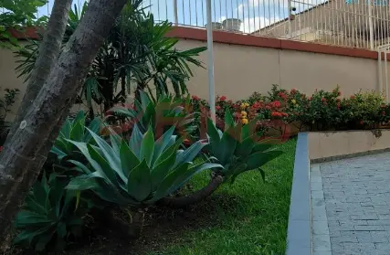 Imagem: Apartamento para Alugar, Imirim