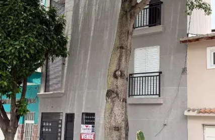 Imagem: Apartamento para Venda, Vila Aurora (Zona Norte)