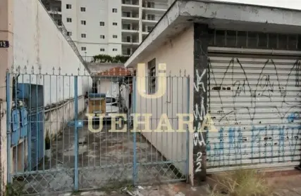 Imagem: Casa Térrea para Alugar, Vila Bandeirantes