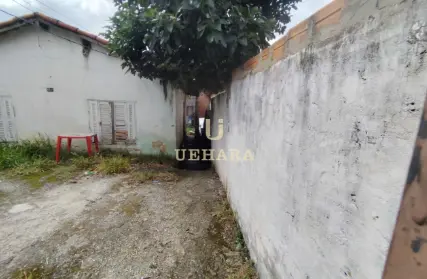 Imagem: Casa Térrea para Venda, Casa Verde Média