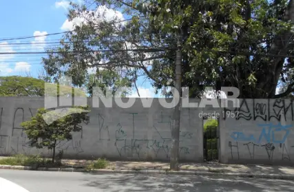 Imagem: Terreno para Alugar, Vila Guilherme