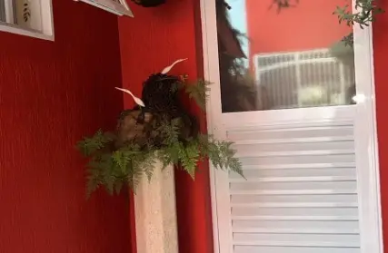 Imagem: Flat / Studio para Alugar, Vila Medeiros