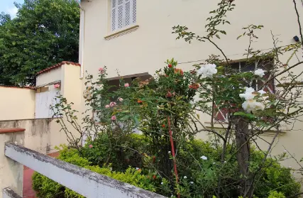 Imagem: Casa Térrea para Alugar, Santana