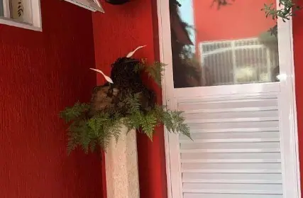 Imagem: Casa Térrea para Alugar, Vila Medeiros