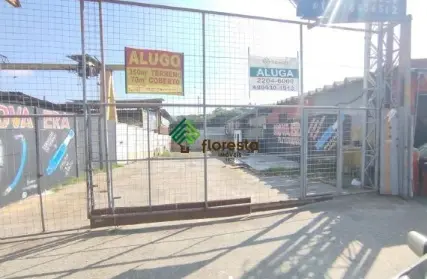 Imagem: Galpão / Salão para Alugar, Vila Paulistana