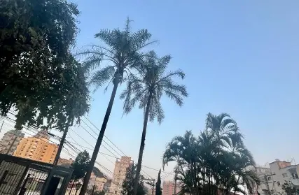 Imagem: Apartamento para Venda, Jardim São Paulo