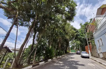 Imagem: Terreno para Venda, Vila Albertina