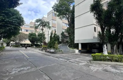 Imagem: Apartamento para Alugar, Vila Guilherme