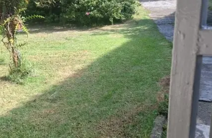 Imagem: Terreno para Venda, Horto Florestal