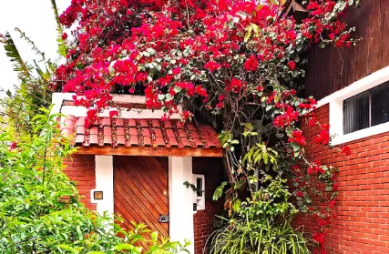 Imagem: Casa Térrea para Venda, Tremembé