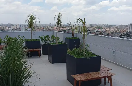 Imagem: Apartamento para Alugar, Vila Brasilândia