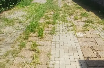 Imagem: Sobrado para Venda, Casa Verde Alta