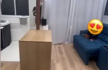 Imagem: Apartamento para Venda, Vila Nina