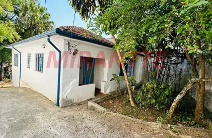 Imagem: Casa Térrea para Venda, Vila Amélia