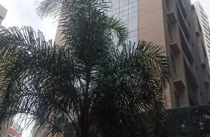 Imagem: Sala Comercial para Alugar, Vila Gustavo