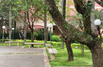 Imagem: Apartamento para Alugar, Lauzane Paulista