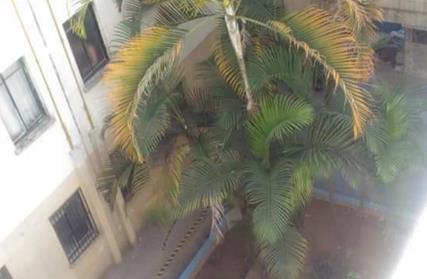 Imagem: Apartamento para Venda, Taipas