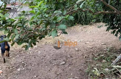 Imagem: Terreno para Venda, Sítio do Mandaqui