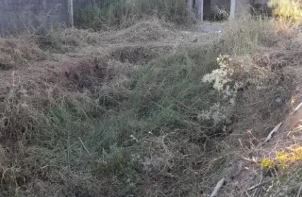 Imagem anuncio destaque venda no bairroSerra da Cantareira