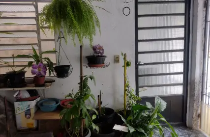 Imagem: Casa Térrea para Venda, Vila Nova Galvão