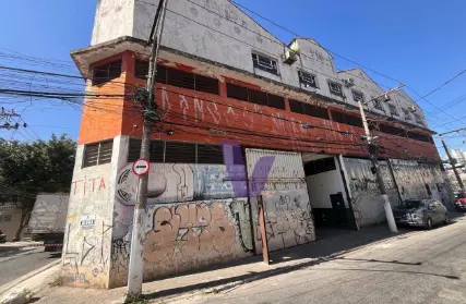 Imagem: Galpão / Salão para Alugar, Vila Palmeiras
