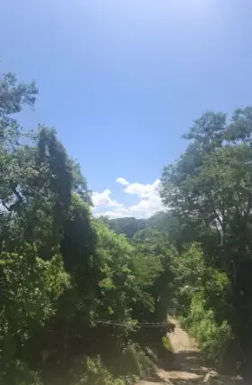 Imagem: Casa Térrea para Venda, Parque Casa de Pedra