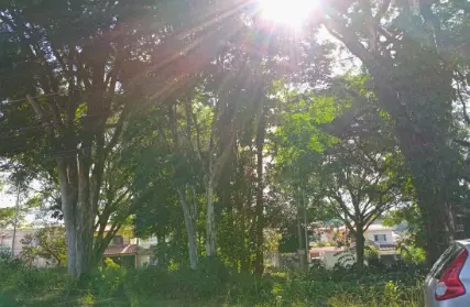 Imagem: Sobrado para Venda, Jardim Esmeralda