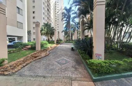Imagem: Apartamento para Alugar, Jardim Vazani
