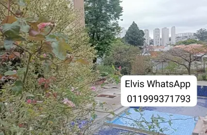 Imagem: Apartamento para Alugar, Jardim Ester